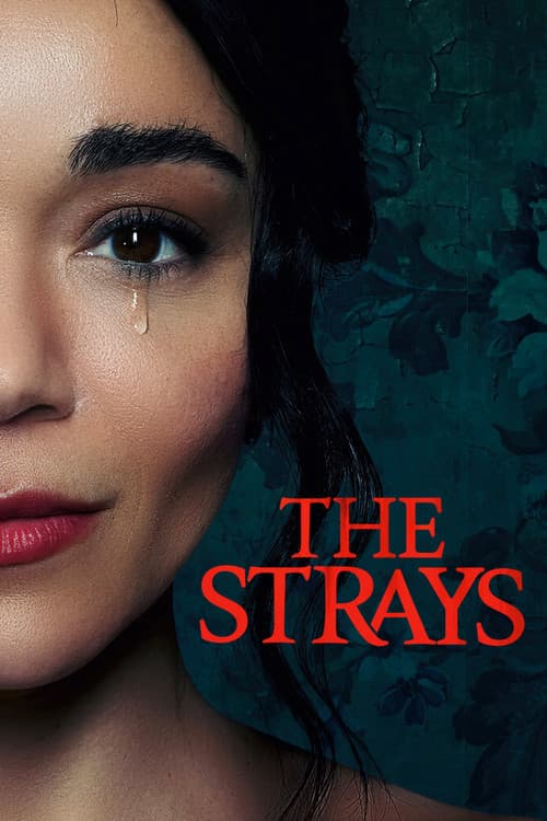 Watch The Strays - Luganda Translated Movie by Vj Ulio