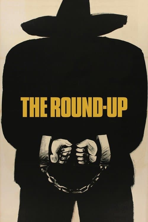 Watch The Round Up - Luganda Translated Movie by Vj Emmy