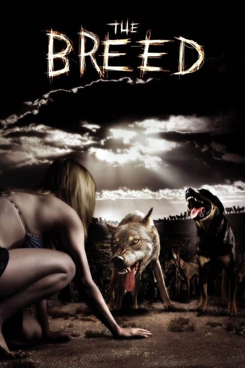Watch The Breed - Luganda Translated Movie by Vj Junior