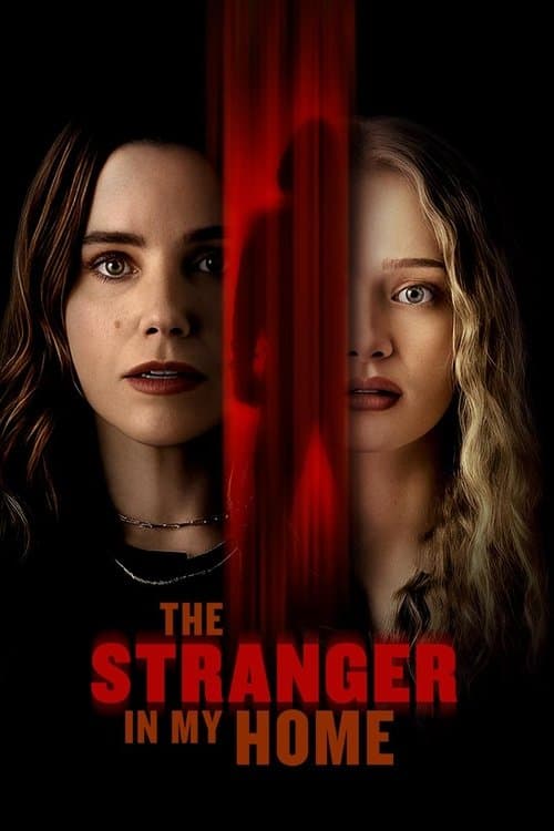 Watch The Stranger in My Home - Luganda Translated Movie by Vj Emmy
