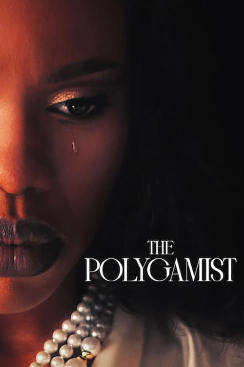 Watch The Polygamist - Luganda Translated Series by Vj Soul
