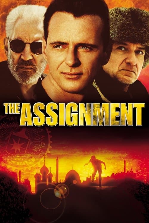 Watch The Assignment - Luganda Translated Movie by Vj Emmy