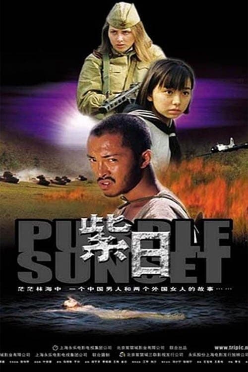 Watch Purple Sunset - Luganda Translated Movie by Vj sliver