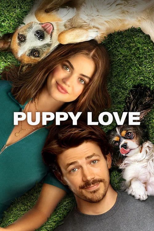 Watch Puppy Love - Luganda Translated Movie by Vj Ulio