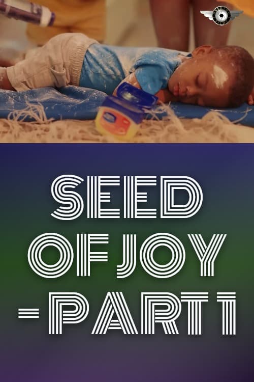 Watch Seed Of Joy - Part 1 - Luganda Translated Movie by Vj Kin