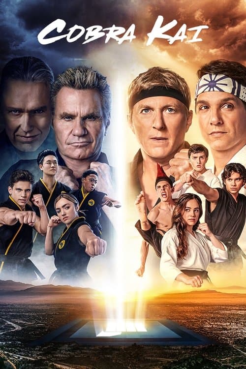 Watch Cobra Kai - Luganda Translated Series by Vj Jingo